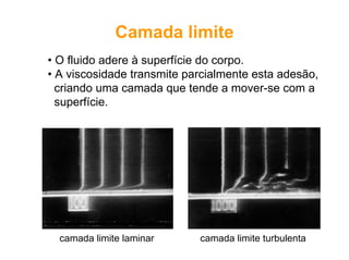 Camada limite
• O fluido adere à superfície do corpo.
• A viscosidade transmite parcialmente esta adesão,
criando uma camada que tende a mover-se com a
superfície.
camada limite laminar camada limite turbulenta
 