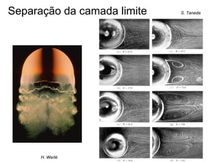 Separação da camada limite S. Taneda
H. Werlé
 