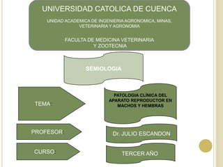 UNIVERSIDAD CATOLICA DE CUENCA
    UNIDAD ACADEMICA DE INGENIERIA AGRONOMICA, MINAS,
                VETERINARIA Y AGRONOMIA


            FACULTA DE MEDICINA VETERINARIA
                      Y ZOOTECNIA



                   SEMIOLOGIA



                              PATOLOGIA CLÍNICA DEL
                            APARATO REPRODUCTOR EN
TEMA:                          MACHOS Y HEMBRAS




PROFESOR:                    Dr. JULIO ESCANDON


CURSO:                           TERCER AÑO
 