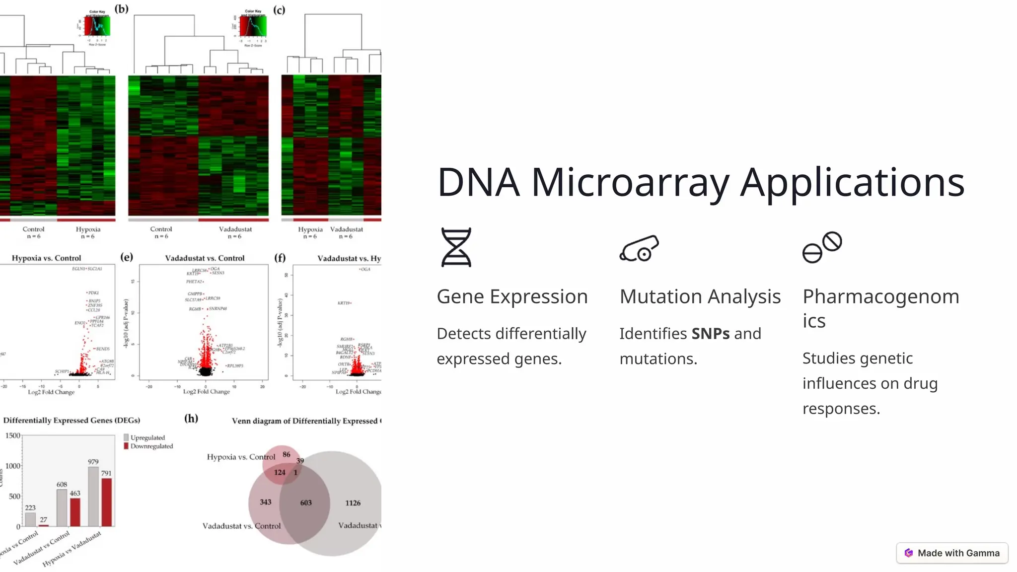 DNA Microarray Applications Gene Expression Detects differentially expressed genes. Mutation Analysis Identifies SNPs and mutations. Pharmacogenom ics Studies genetic influences on drug responses. 