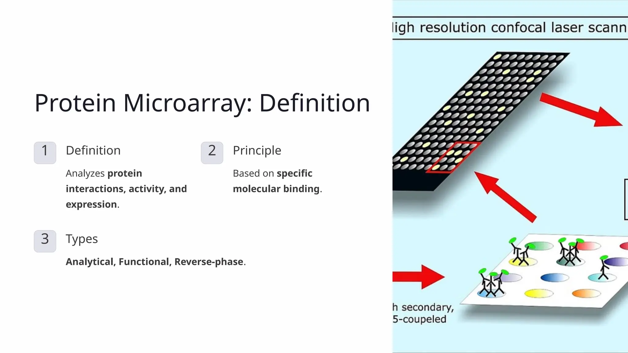 Protein Microarray: Definition 1 Definition Analyzes protein interactions, activity, and expression. 2 Principle Based on specific molecular binding. 3 Types Analytical, Functional, Reverse-phase. 
