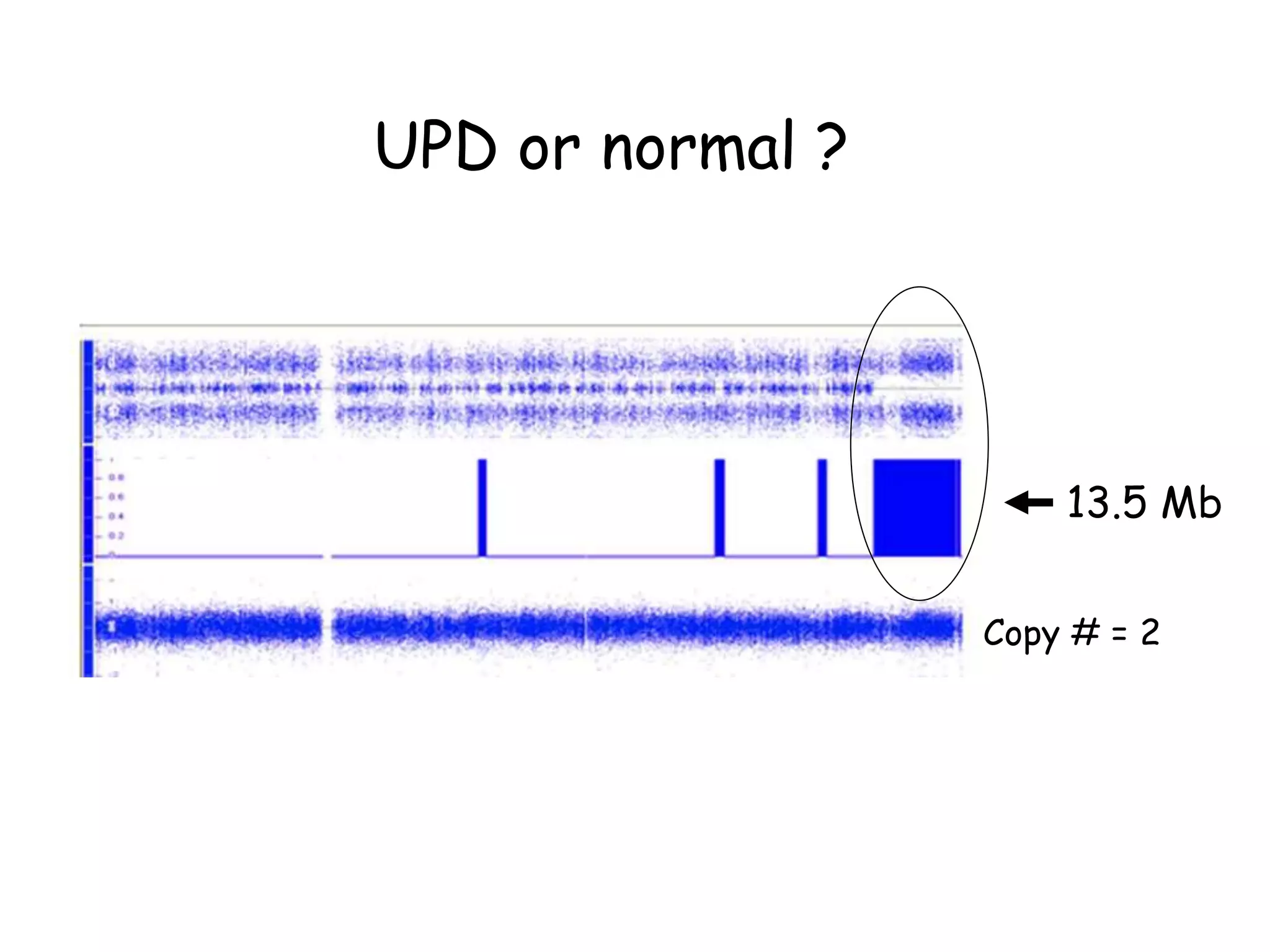 Copy # = 2
13.5 Mb
UPD or normal ?