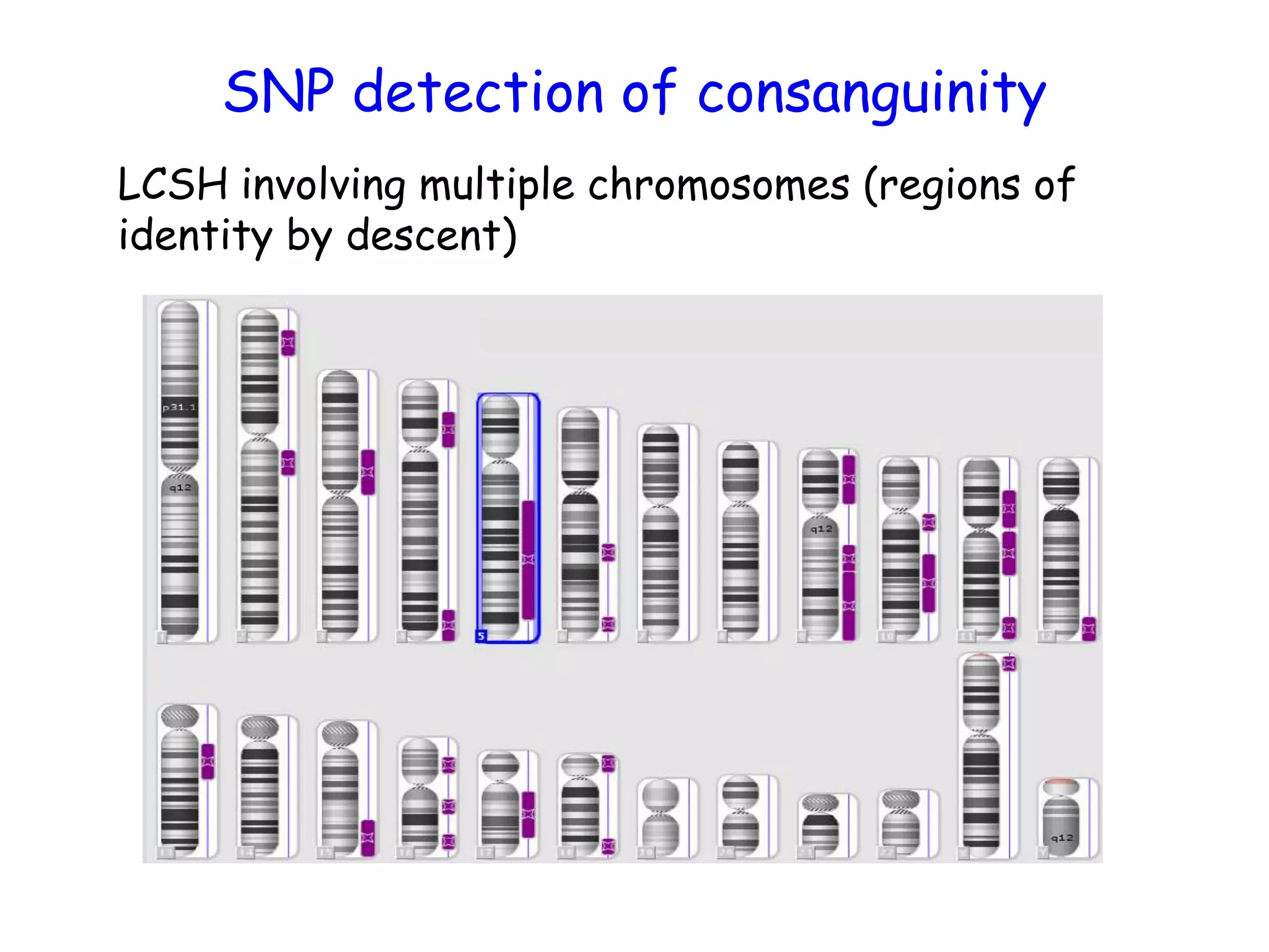 SNP detection of consanguinity
LCSH involving multiple chromosomes (regions of
identity by descent)