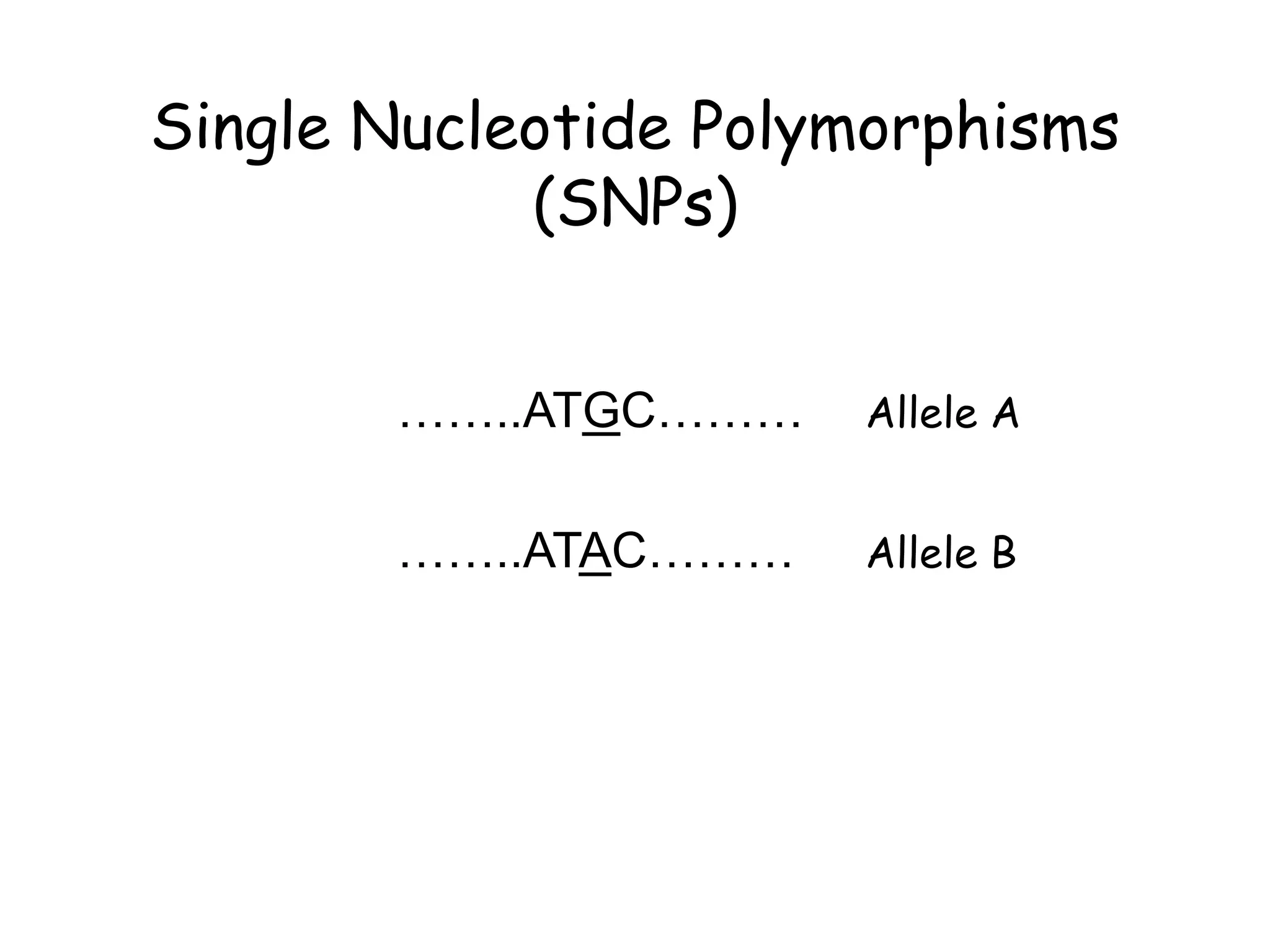 Single Nucleotide Polymorphisms
(SNPs)
……..ATGC………
……..ATAC………
Allele A
Allele B