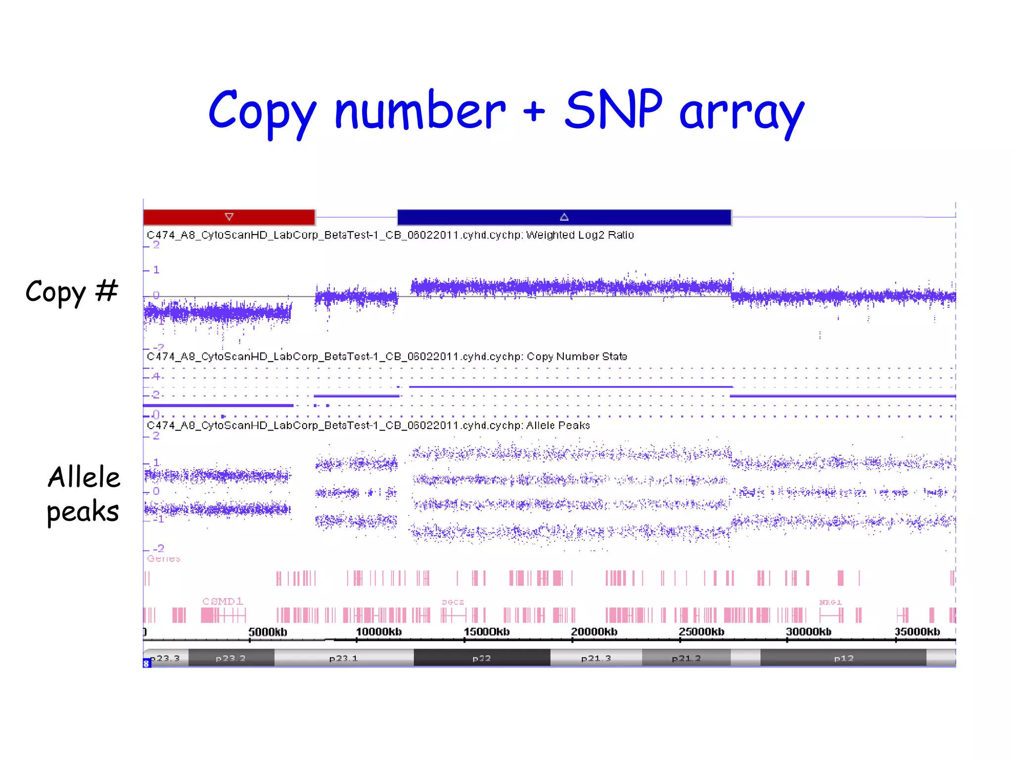 Copy number + SNP array
Copy #
Allele
peaks