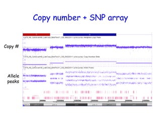 Snp Array Reading ArraySNP(Tsuchiya2012).ppt