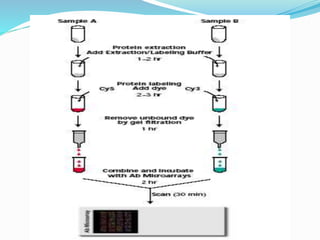 Array technology | PPTX