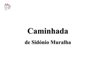 Caminhada de Sidónio Muralha 