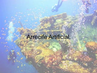 Arrecife Artificial.
 
