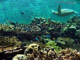 Arrecife de Coral
Manuel García-Ulloa Gámiz
 