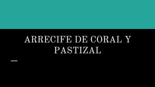 ARRECIFE DE CORAL Y
PASTIZAL
 