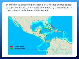 En México, se puede regionalizar a los arrecifes en tres zonas:
La costa del Pacífico, Las costas de Veracruz y Campeche, y la
costa oriental de la Península de Yucatán.
 