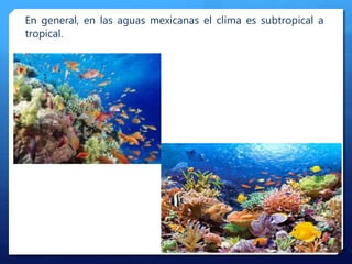 En general, en las aguas mexicanas el clima es subtropical a
tropical.
 