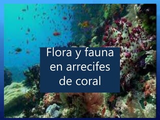 Flora y fauna
en arrecifes
de coral
 