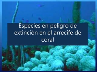 Especies en peligro de
extinción en el arrecife de
coral
 
