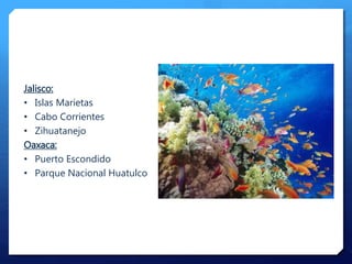Jalisco:
• Islas Marietas
• Cabo Corrientes
• Zihuatanejo
Oaxaca:
• Puerto Escondido
• Parque Nacional Huatulco
 