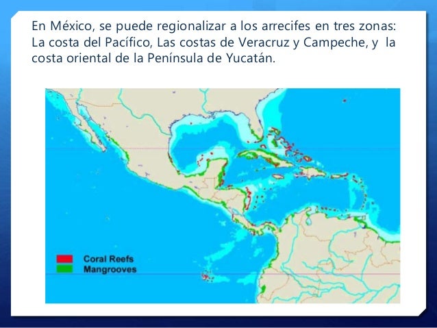 Donde Se Localizan Los Arrecifes De Coral En Mexico