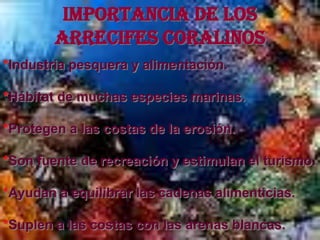 IMPORTANCIA DE LOS
        ARRECIFES CORALINOS
*Industria pesquera y alimentación.

*Hábitat de muchas especies marinas.

*Protegen a las costas de la erosión.

*Son fuente de recreación y estimulan el turismo.

*Ayudan a equilibrar las cadenas alimenticias.

*Suplen a las costas con las arenas blancas.
 