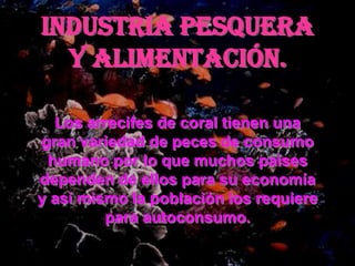 Industria pesquera
  y alimentación.

  Los arrecifes de coral tienen una
gran variedad de peces de consumo
 humano por lo que muchos países
dependen de ellos para su economía
y así mismo la población los requiere
         para autoconsumo.
 