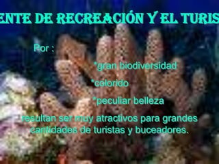 ente de recreación y el turis
     Por :
                   *gran biodiversidad
                  *colorido
                   *peculiar belleza
   resultan ser muy atractivos para grandes
     cantidades de turistas y buceadores.
 