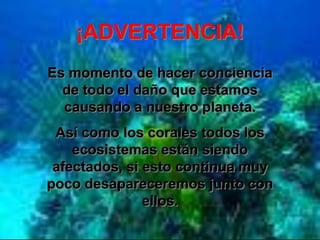 ¡ADVERTENCIA!
Es momento de hacer conciencia
  de todo el daño que estamos
  causando a nuestro planeta.
 Así como los corales todos los
    ecosistemas están siendo
 afectados, si esto continua muy
poco desapareceremos junto con
               ellos.
 