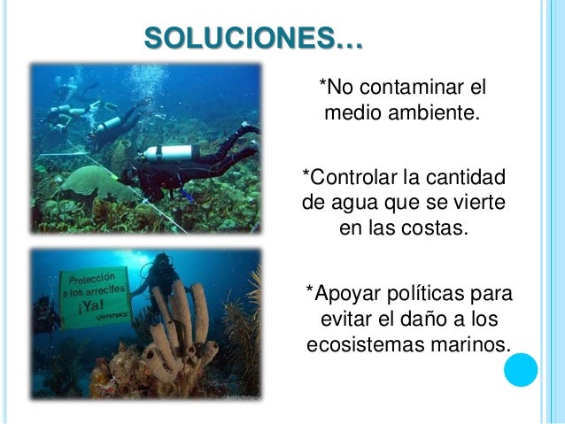 Resultado de imagen para como evitar la contaminación de arrecifes