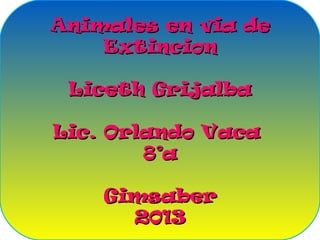 Animales en via de
    Extincion

 Liceth Grijalba

Lic. Orlando Vaca
        8°a

    Gimsaber
      2013
 