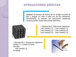 OPERACIONES BÁSICASLectura: El proceso de lectura de un arreglo consiste en leer y asignar un valor a cada uno de sus elementos. Normalmente se realizan con estructuras repetitivas, aunque pueden usarse estructuras selectivas.> Ejemplo No.2: Estructuras selectivasLeer (vector[ 1 ])  /  Leer (matriz[ 1 ]) Leer (vector[ 2 ])  /  Leer (matriz[ 2 ]) Leer (vector[ 3 ])  /  Leer (matriz[ 3 ]) > Ejemplo No.1: Estructuras repetitivasDesde (i = 1) hasta 70 hacerprincipio    Leer (vector[ i ])fin-desde
