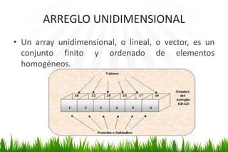 Arreglos en Java | PPTX