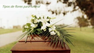 Tipos de flores para funeral
 