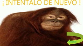 ¡ INTÉNTALO DE NUEVO !
REGRESAR
 