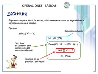 www.themegallery.com LOGO
OPERACIÓNES BÁSICAS
Escritura
El proceso es parecido al de lectura, sólo que en este caso; en lugar de leer el
componente se va a escribir.
Ejemplo:
calif [2] 10
int calif [200]
Para (i 0; i<199; i++)
calif [i] 10
fin Para
Declaración del vector
Ciclo ‘Para’ :
Lo utilizamos para
escribir en los 200
elementos del arreglo
Escritura en la
posición i del vector
 