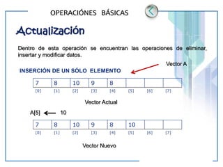 www.themegallery.com LOGO
OPERACIÓNES BÁSICAS
Actualización
Dentro de esta operación se encuentran las operaciones de eliminar,
insertar y modificar datos.
INSERCIÓN DE UN SÓLO ELEMENTO
7 8 10 9 8
[0] [1] [2] [3] [4] [5] [6] [7]
Vector Actual
Vector A
A[5] 10
7 8 10 9 8 10
[0] [1] [2] [3] [4] [5] [6] [7]
Vector Nuevo
 