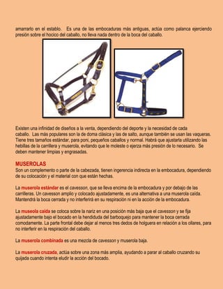 Arreos los_distintos_tipos_de_caballos