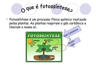  Fotossíntese é um processo físico-químico realizado
  pelas plantas. As plantas respiram o gás carbônico e
  liberam o nosso ar.
                                                    o
                                              ô nic
                                           arb
                                         sC
                                       Gá
                                                 o
                                             oss
                                            N ás
                                              G
 