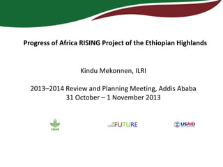 Progress of Africa RISING Project of the Ethiopian Highlands

Kindu Mekonnen, ILRI
2013–2014 Review and Planning Meeting, Addis Ababa
31 October – 1 November 2013

 