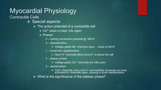 Myocardial Physiology
Contractile Cells
 Special aspects
 The action potential of a contractile cell
 Ca2+ plays a major role again
 Phases
4 – resting membrane potential @ -90mV
0 – depolarization
 Voltage gated Na+ channels open… close at 20mV
1 – temporary repolarization
 Open K+ channels allow some K+ to leave the cell
2 – plateau phase
 Voltage gated Ca2+ channels are fully open
3 – repolarization
 Ca2+ channels close and K+ permeability increases as more
activated K+ channels open, causing a quick repolarization
 What is the significance of the plateau phase?
 