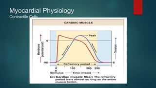 Myocardial Physiology
Contractile Cells
 