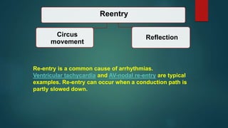 Reentry
Circus
movement
Reflection
Re-entry is a common cause of arrhythmias.
Ventricular tachycardia and AV-nodal re-entry are typical
examples. Re-entry can occur when a conduction path is
partly slowed down.
 
