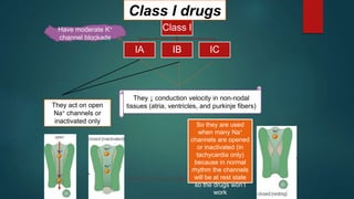 Class I
IA IB IC
They ↓ conduction velocity in non-nodal
tissues (atria, ventricles, and purkinje fibers)
They act on open
Na+ channels or
inactivated only
Have moderate K+
channel blockade
So they are used
when many Na+
channels are opened
or inactivated (in
tachycardia only)
because in normal
rhythm the channels
will be at rest state
so the drugs won’t
work
Class I drugs
 