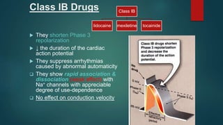 Class IB Drugs
 They shorten Phase 3
repolarization
 ↓ the duration of the cardiac
action potential
 They suppress arrhythmias
caused by abnormal automaticity
 They show rapid association &
dissociation (weak effect) with
Na+ channels with appreciable
degree of use-dependence
 No effect on conduction velocity
Class IB
lidocaine mexiletine tocainide
 