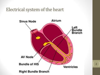 Electrical system of the heart
2
 