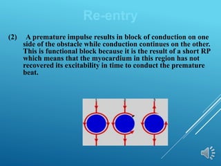 (2) A premature impulse results in block of conduction on one
side of the obstacle while conduction continues on the other.
This is functional block because it is the result of a short RP
which means that the myocardium in this region has not
recovered its excitability in time to conduct the premature
beat.
Re-entry
 