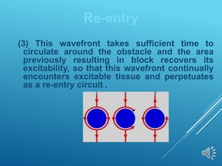 (3) This wavefront takes sufficient time to
circulate around the obstacle and the area
previously resulting in block recovers its
excitability, so that this wavefront continually
encounters excitable tissue and perpetuates
as a re-entry circuit .
Re-entry
 
