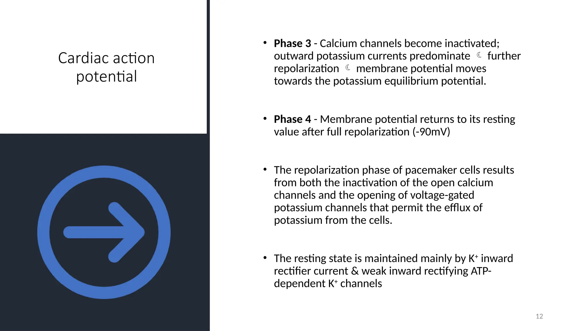 Cardiac action
potential
• Phase 3 - Calcium channels become inactivated;
outward potassium currents predominate  further
repolarization  membrane potential moves
towards the potassium equilibrium potential.
• Phase 4 - Membrane potential returns to its resting
value after full repolarization (-90mV)
• The repolarization phase of pacemaker cells results
from both the inactivation of the open calcium
channels and the opening of voltage-gated
potassium channels that permit the efflux of
potassium from the cells.
• The resting state is maintained mainly by K+
inward
rectifier current & weak inward rectifying ATP-
dependent K+
channels
12
 