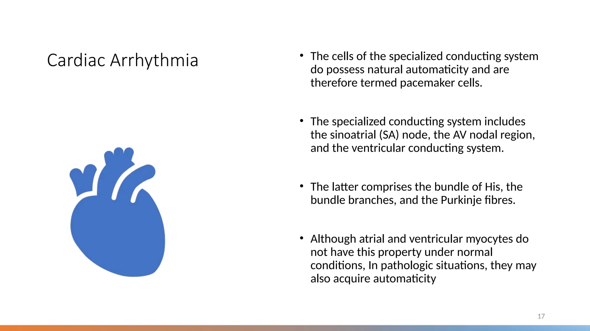 Cardiac Arrhythmia • The cells of the specialized conducting system
do possess natural automaticity and are
therefore termed pacemaker cells.
• The specialized conducting system includes
the sinoatrial (SA) node, the AV nodal region,
and the ventricular conducting system.
• The latter comprises the bundle of His, the
bundle branches, and the Purkinje fibres.
• Although atrial and ventricular myocytes do
not have this property under normal
conditions, In pathologic situations, they may
also acquire automaticity
17
 