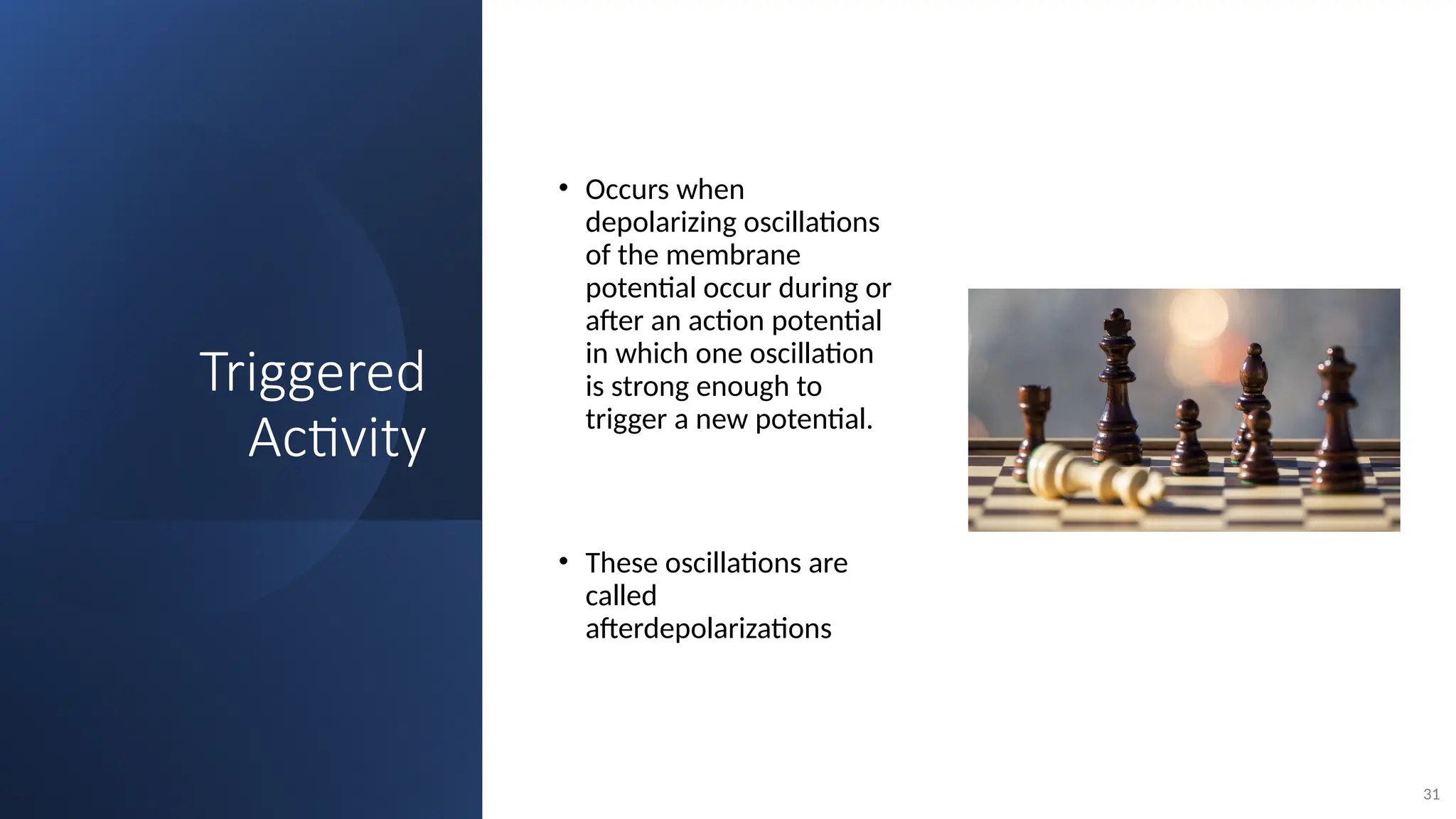Triggered
Activity
• Occurs when
depolarizing oscillations
of the membrane
potential occur during or
after an action potential
in which one oscillation
is strong enough to
trigger a new potential.
• These oscillations are
called
afterdepolarizations
31
 