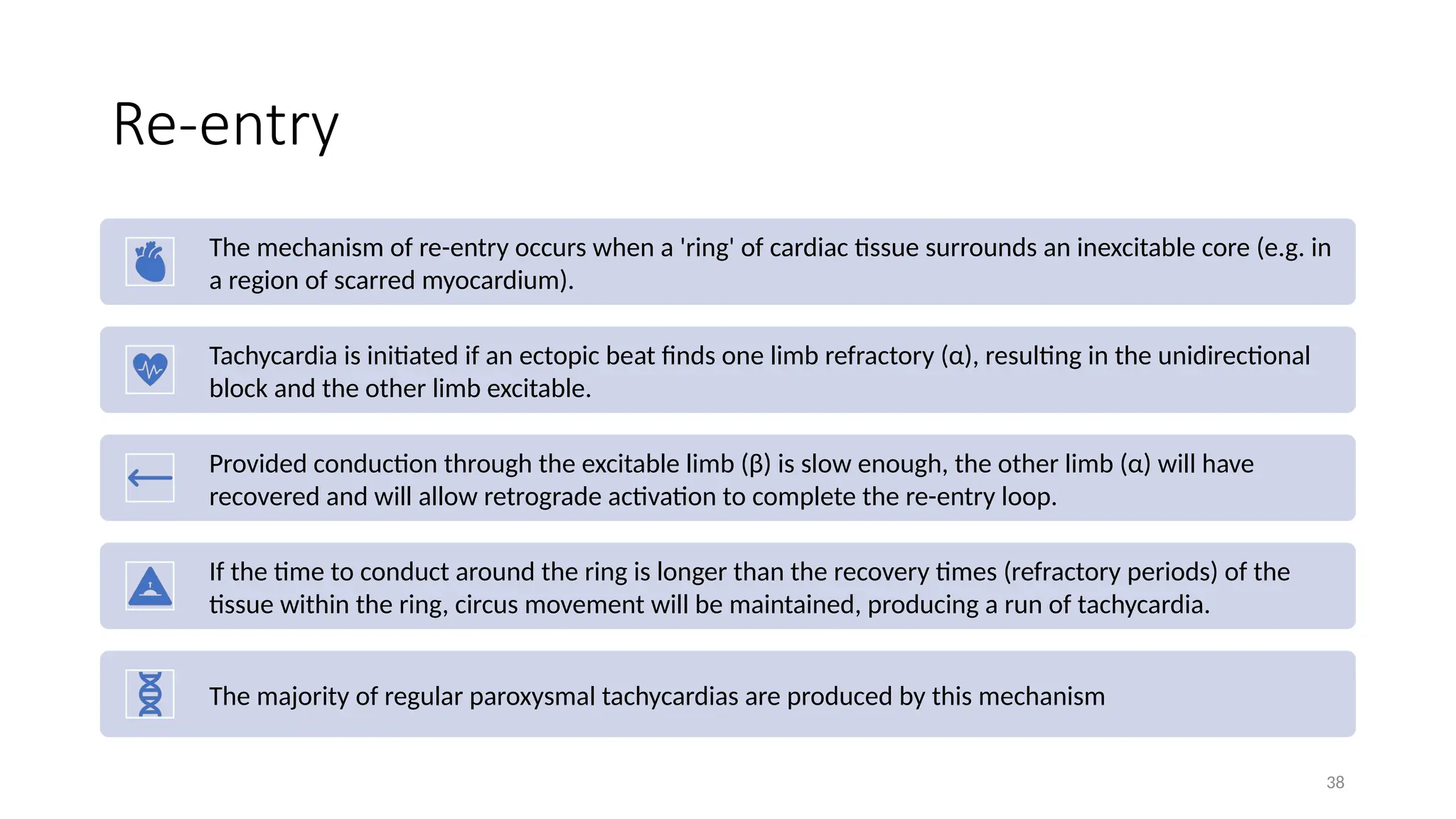 38
Re-entry
The mechanism of re-entry occurs when a 'ring' of cardiac tissue surrounds an inexcitable core (e.g. in
a region of scarred myocardium).
Tachycardia is initiated if an ectopic beat finds one limb refractory (α), resulting in the unidirectional
block and the other limb excitable.
Provided conduction through the excitable limb (β) is slow enough, the other limb (α) will have
recovered and will allow retrograde activation to complete the re-entry loop.
If the time to conduct around the ring is longer than the recovery times (refractory periods) of the
tissue within the ring, circus movement will be maintained, producing a run of tachycardia.
The majority of regular paroxysmal tachycardias are produced by this mechanism
 