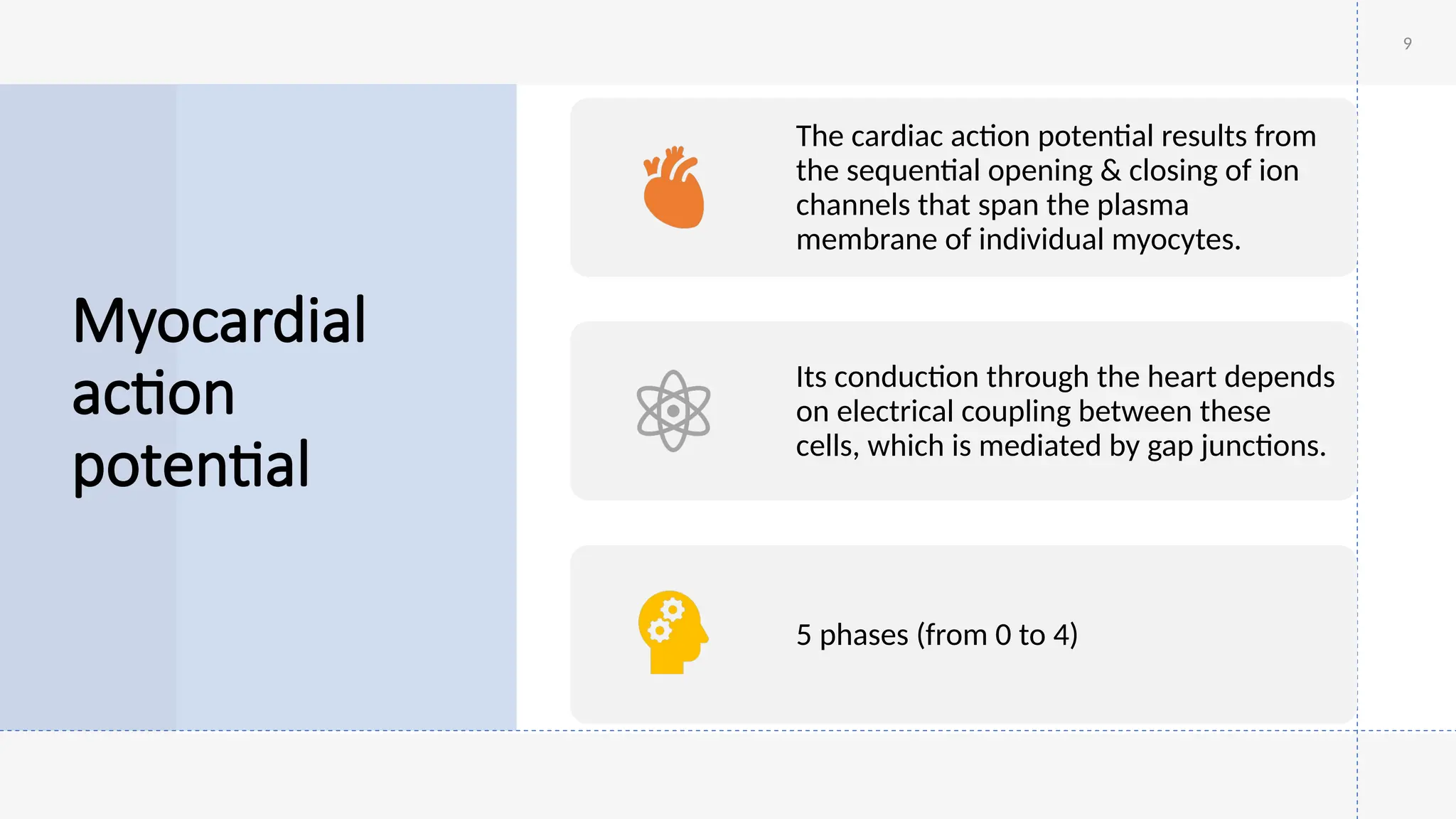Myocardial
action
potential
9
The cardiac action potential results from
the sequential opening & closing of ion
channels that span the plasma
membrane of individual myocytes.
Its conduction through the heart depends
on electrical coupling between these
cells, which is mediated by gap junctions.
5 phases (from 0 to 4)
 