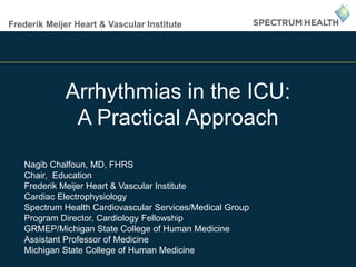 Frederik Meijer Heart & Vascular Institute
Arrhythmias in the ICU:
A Practical Approach
Nagib Chalfoun, MD, FHRS
Chair, Education
Frederik Meijer Heart & Vascular Institute
Cardiac Electrophysiology
Spectrum Health Cardiovascular Services/Medical Group
Program Director, Cardiology Fellowship
GRMEP/Michigan State College of Human Medicine
Assistant Professor of Medicine
Michigan State College of Human Medicine
 